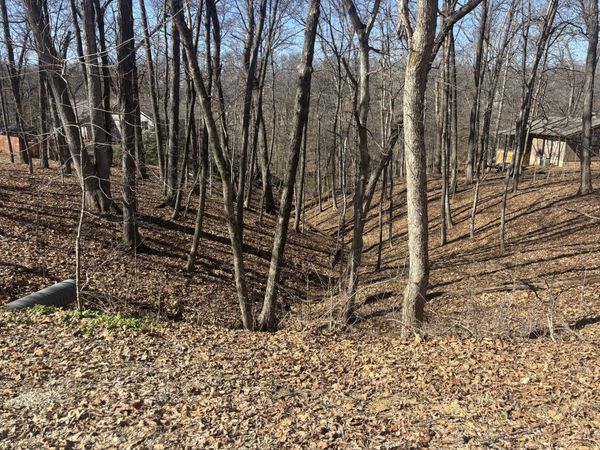 1673 Lakeside Court, Varna, IL 61375