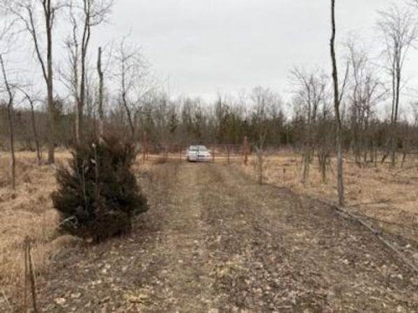 700 (OTA) N Waldron Road, Crystal, MI 48818