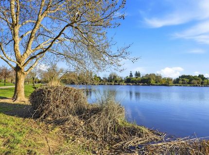 9076 Glenbury Ct, Elk Grove, CA 95624 Photo