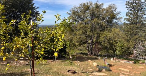 10285 Ponderosa Way, Pine Grove, CA 95665 Photo