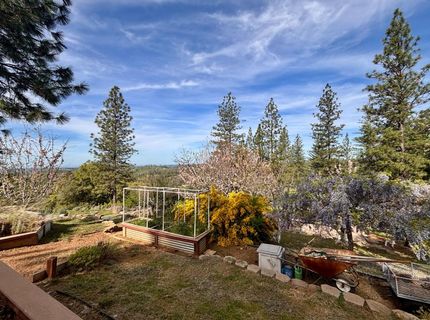 10285 Ponderosa Way, Pine Grove, CA 95665 Photo