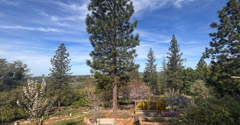 10285 Ponderosa Way, Pine Grove, CA 95665 Photo