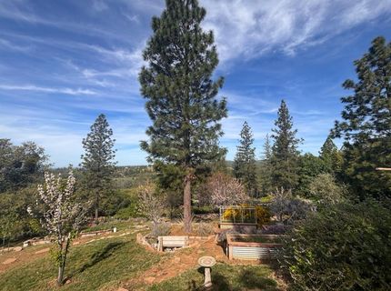 10285 Ponderosa Way, Pine Grove, CA 95665 Photo