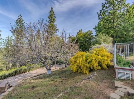 10285 Ponderosa Way, Pine Grove, CA 95665 Photo