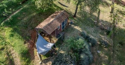 10285 Ponderosa Way, Pine Grove, CA 95665 Photo