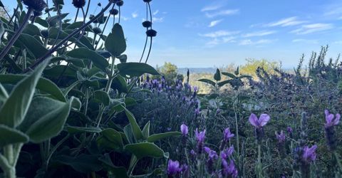 10285 Ponderosa Way, Pine Grove, CA 95665 Photo