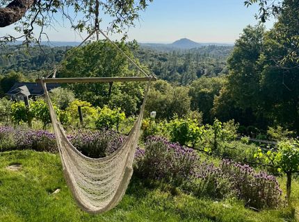 10285 Ponderosa Way, Pine Grove, CA 95665 Photo