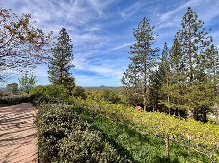 10285 Ponderosa Way, Pine Grove, CA 95665 Photo