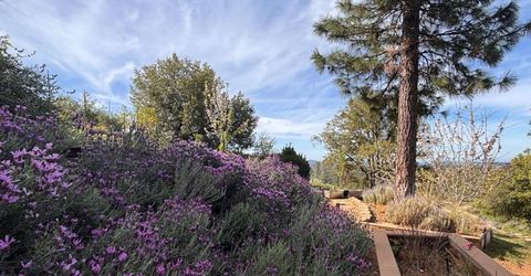 10285 Ponderosa Way, Pine Grove, CA 95665 Photo