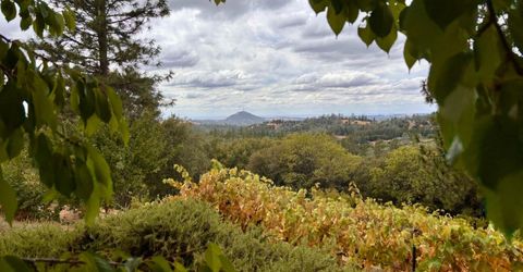 10285 Ponderosa Way, Pine Grove, CA 95665 Photo