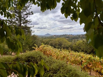 10285 Ponderosa Way, Pine Grove, CA 95665 Photo