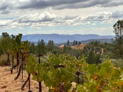 10285 Ponderosa Way, Pine Grove, CA 95665 Photo