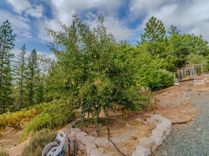 10285 Ponderosa Way, Pine Grove, CA 95665 Photo