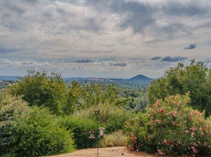 10285 Ponderosa Way, Pine Grove, CA 95665 Photo