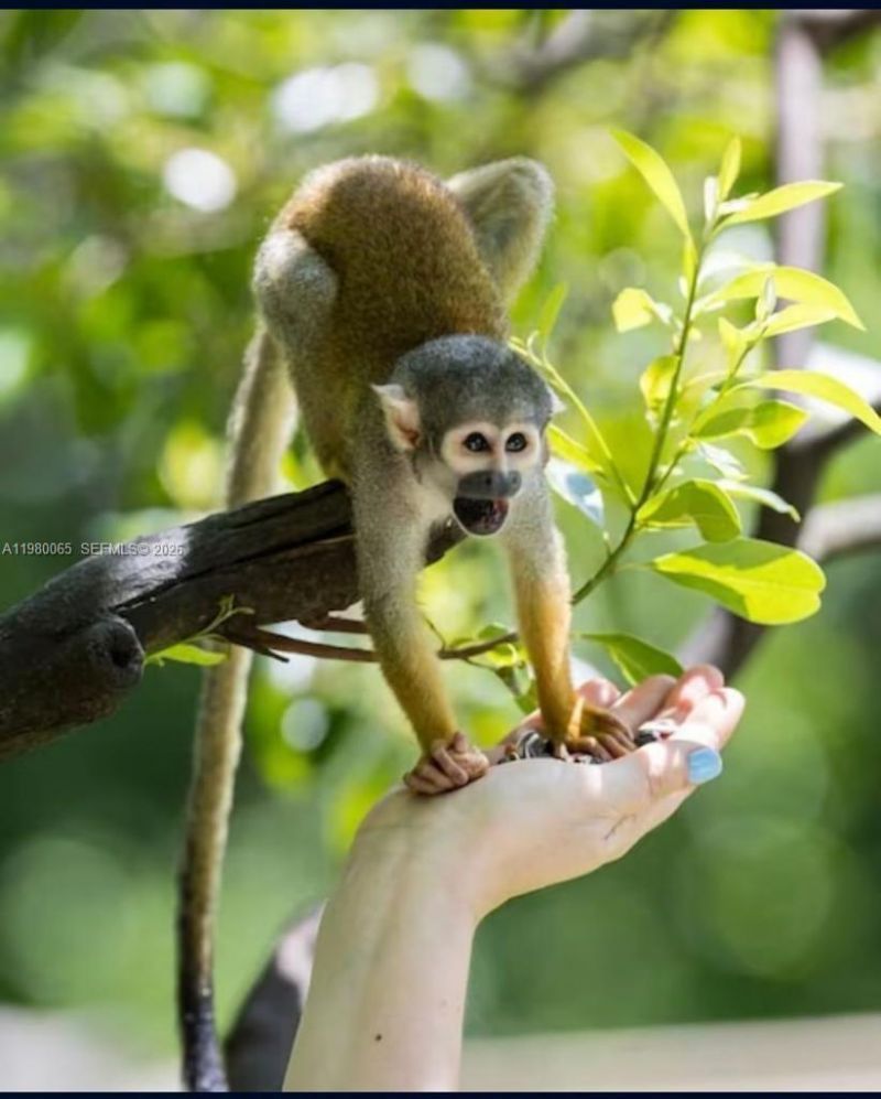 302 NW 11th Ct , Unit 302, Florida City, FL 33034 Photo