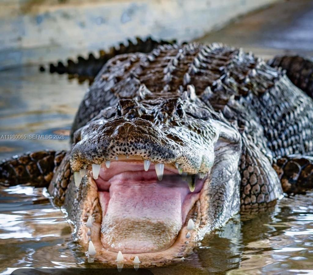 302 NW 11th Ct , Unit 302, Florida City, FL 33034 Photo