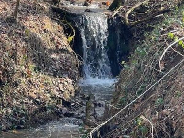 1008 Blair Loop Rd, Walland, TN 37886