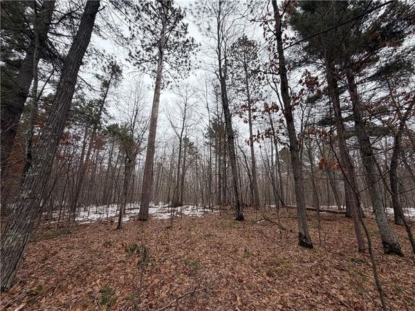 00000 Cty Rd H, Danbury, WI 54830