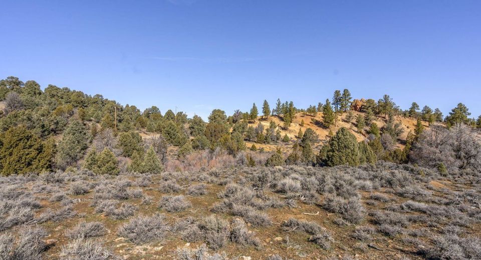 2111 Empire Road, Reno, NV 89521 Photo
