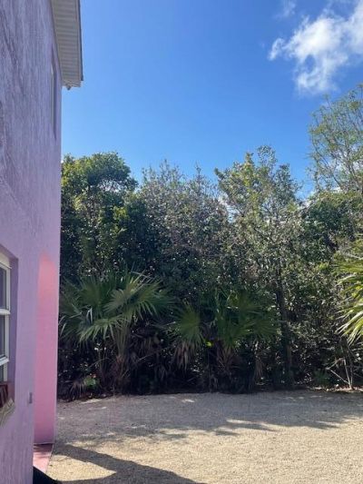 30259 Palm Drive, Big Pine Key, FL 33043 Photo