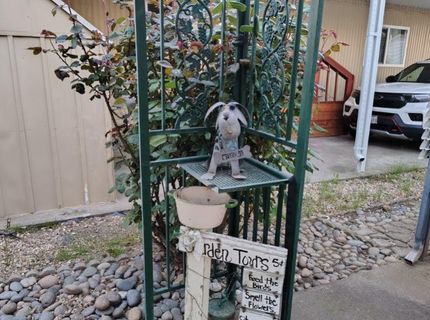 19690 N Highway 99 #131, Acampo, CA 95220 Photo