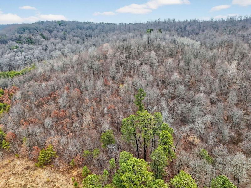 14442 Jack Run Road , Rockbridge, OH 43149 Photo 31