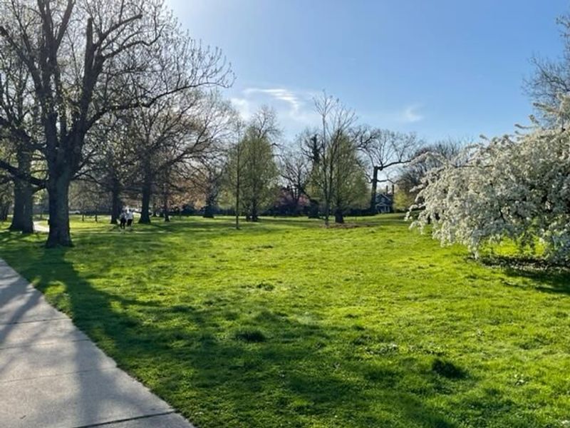 172 Reinhard Avenue, Unit 172, Columbus, OH 43206 Photo 17