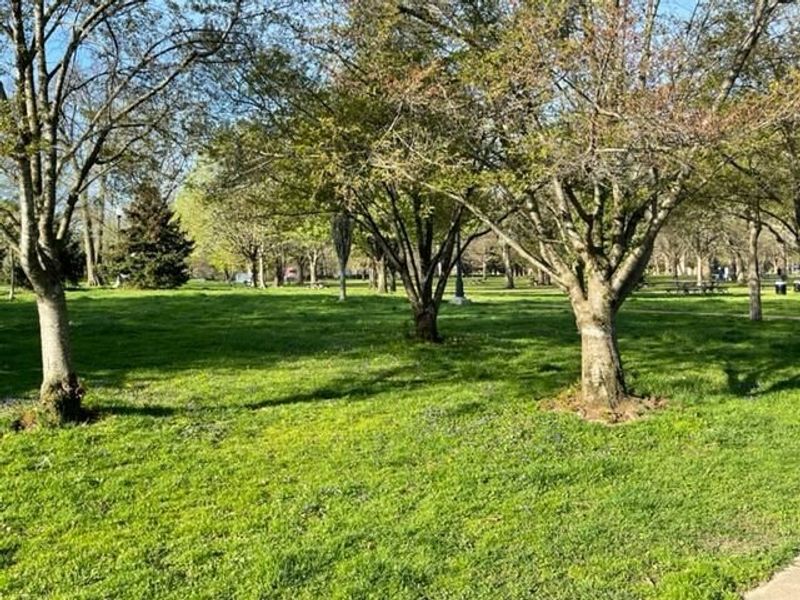 172 Reinhard Avenue, Unit 172, Columbus, OH 43206 Photo 18