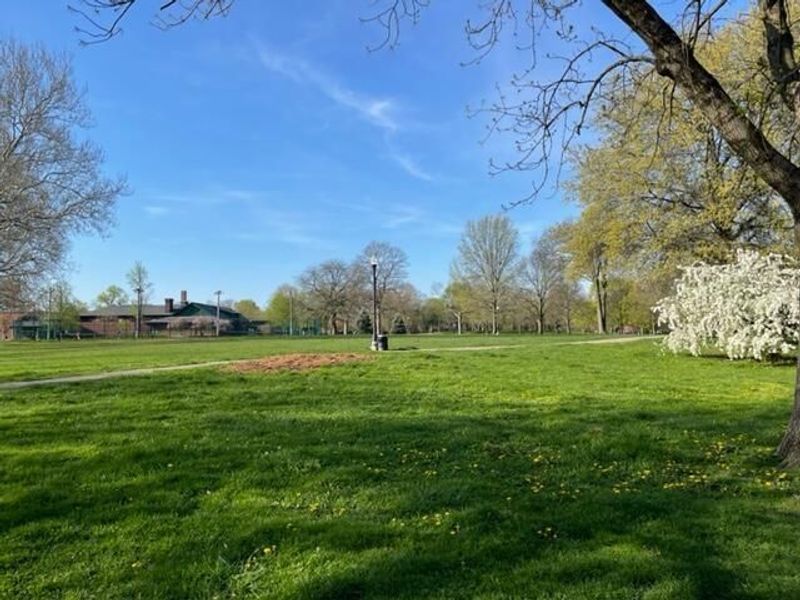 172 Reinhard Avenue, Unit 172, Columbus, OH 43206 Photo 19