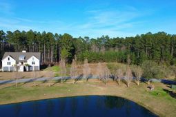 1321 Wood Sorrel Drive photo 4