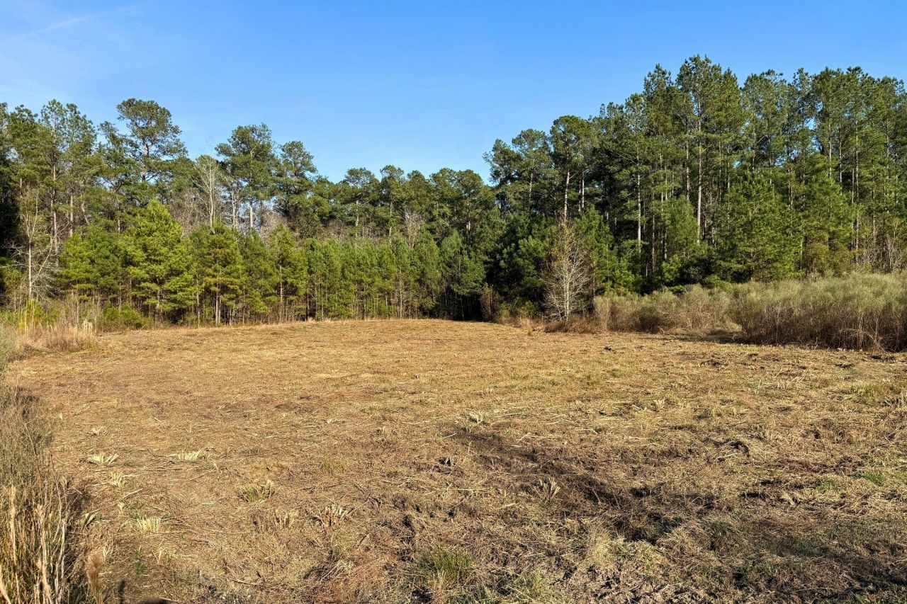 1321 Wood Sorrel Drive Photo 5