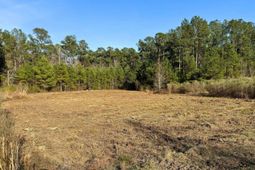 1321 Wood Sorrel Drive photo 4