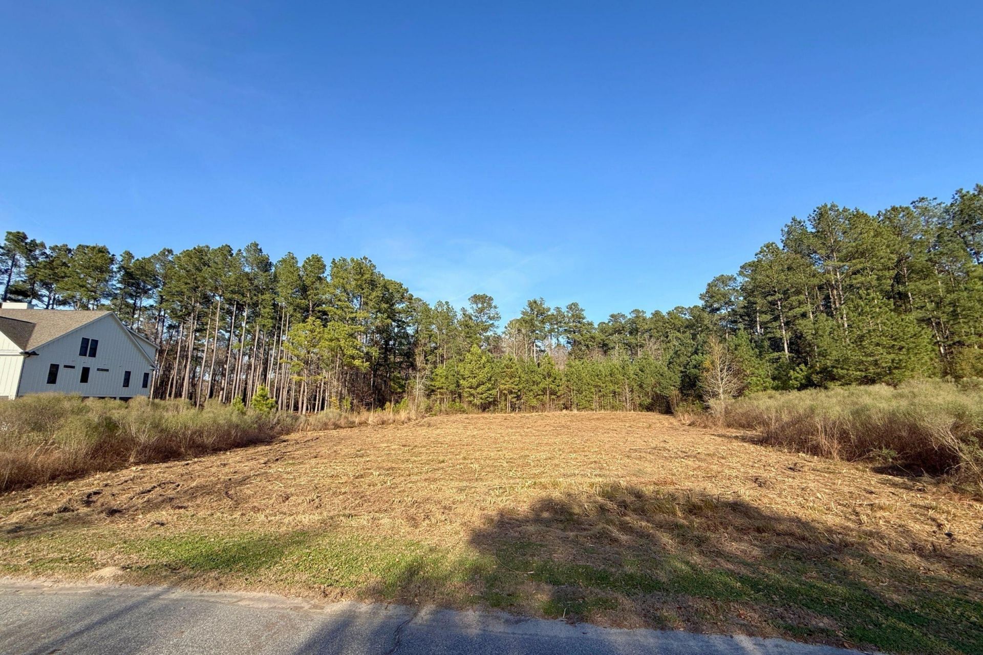 1321 Wood Sorrel Drive Photo 7