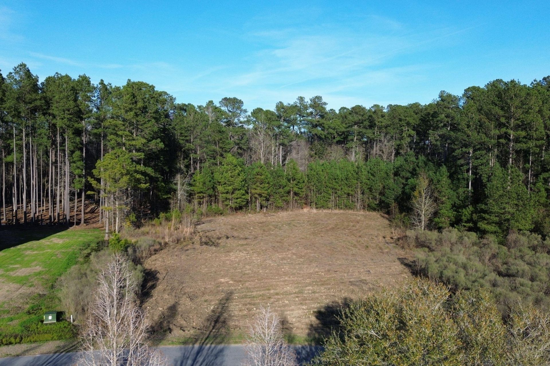 1321 Wood Sorrel Drive Photo 8