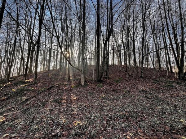 691 Crestrose Drive , Howard, OH 43028