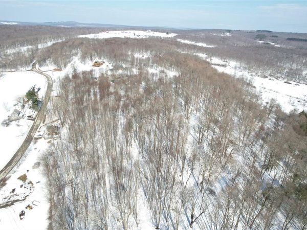 TBD Stump Pond Road , Livingston Manor, NY 12758