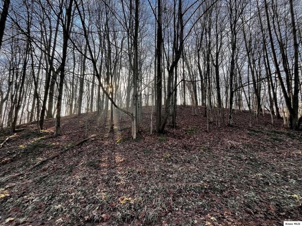 691 Crestrose Drive, Howard, OH 43028