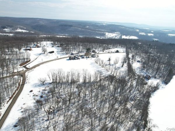 299-301 Stump Pond Road , Livingston Manor, NY 12758