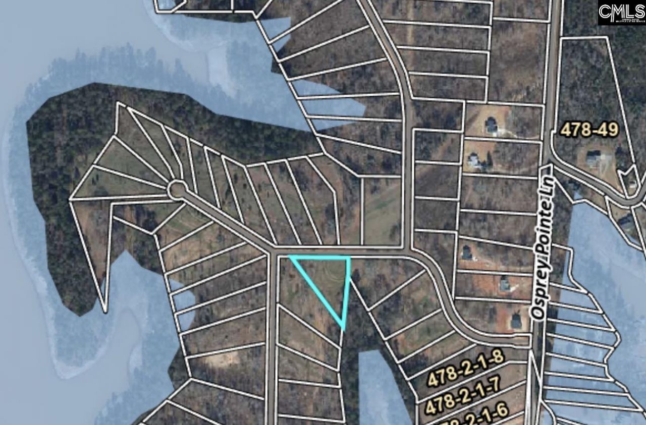 243 Woodside Shores Drive  Photo 8