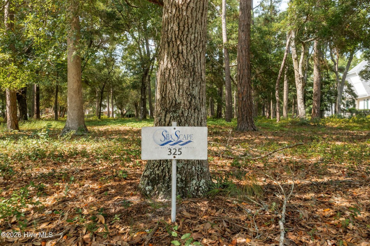 686 Beaufain Street Sw, Supply, NC 28462 Main Photo