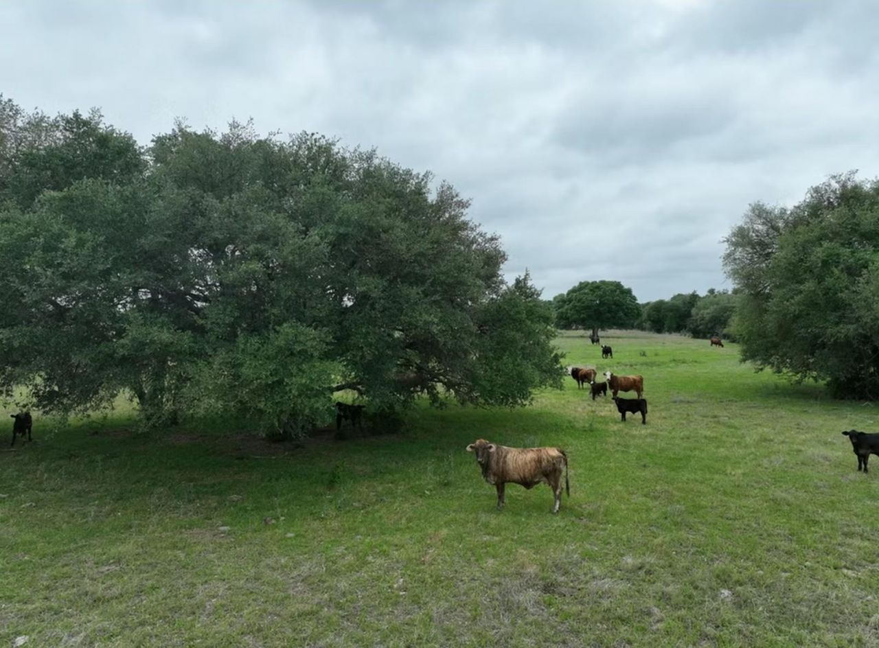 Tbd Lot 3 County Road 127 Rd, Ledbetter, TX 78946 Main Photo