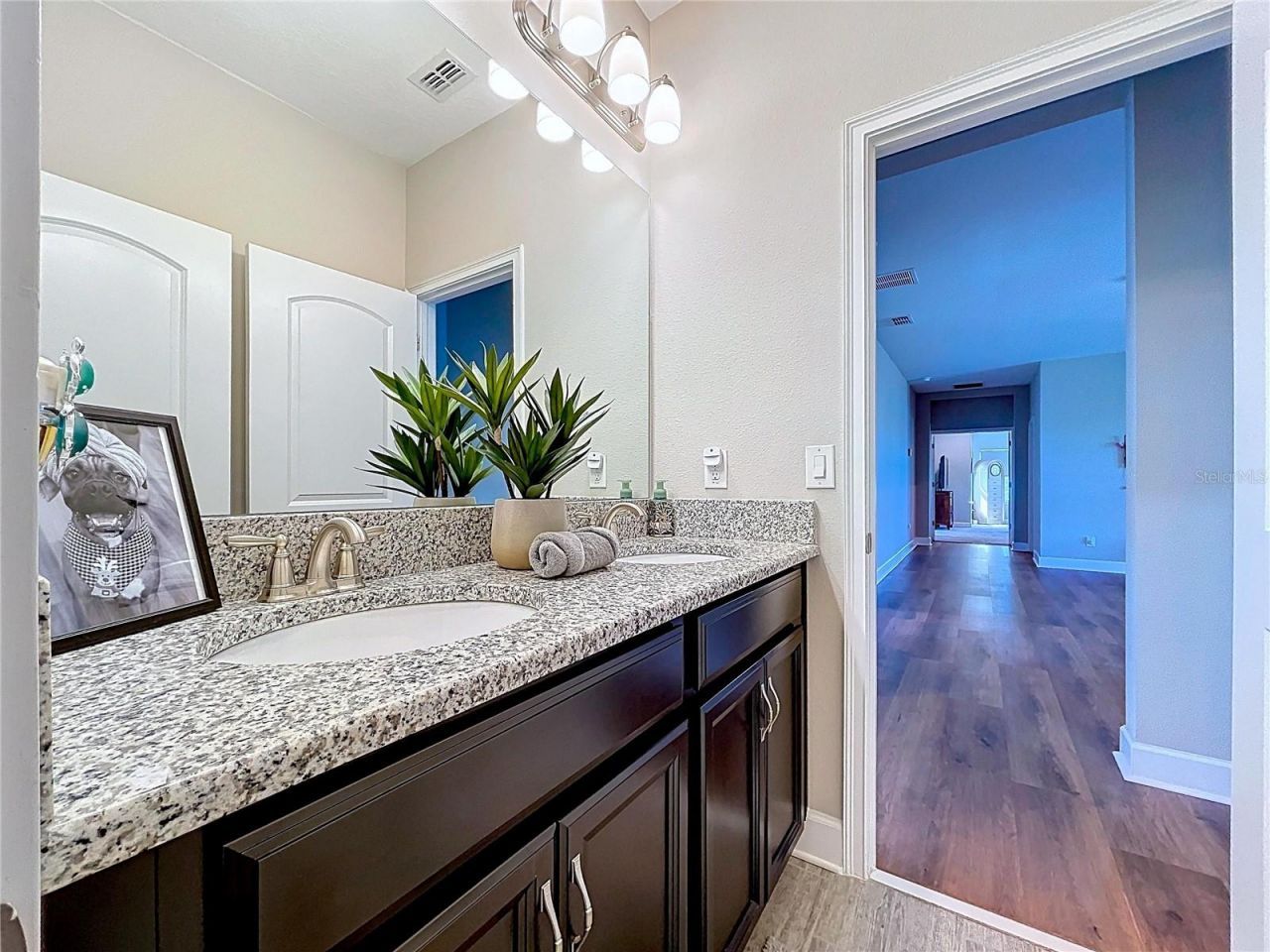 747 Cajeput Loop, Tarpon Springs, FL 34689 Photo