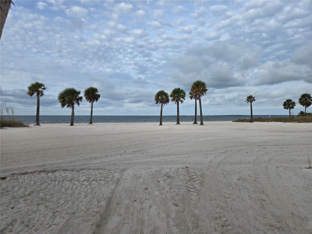 747 Cajeput Loop, Tarpon Springs, FL 34689 Photo