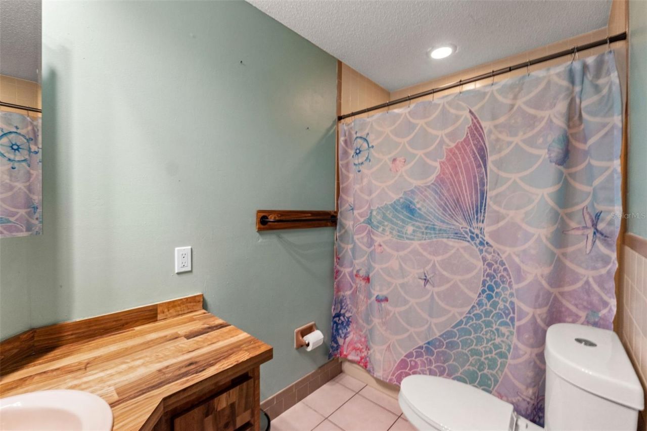 1357 Dinsmore Court, New Port Richey, FL 34655 Photo