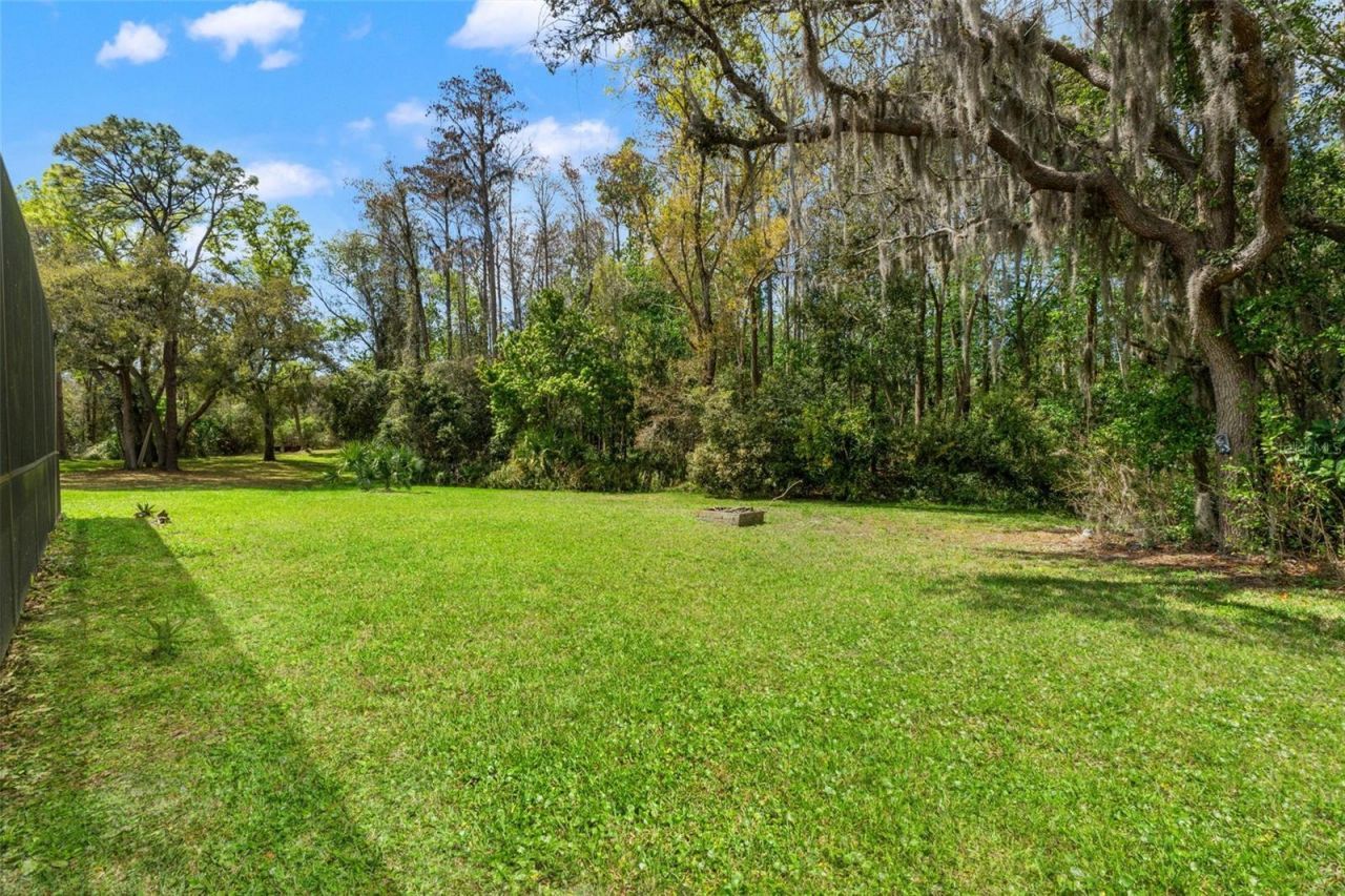 1357 Dinsmore Court, New Port Richey, FL 34655 Photo