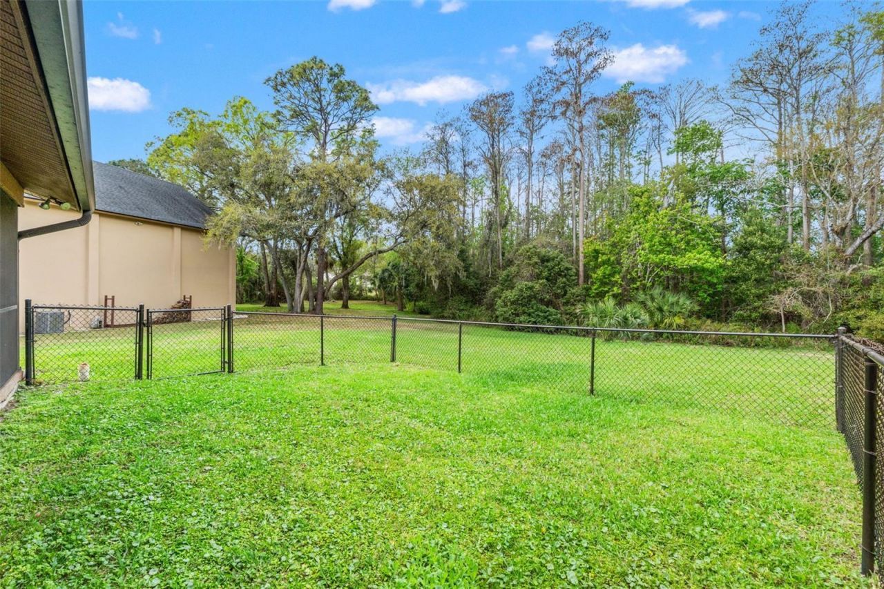 1357 Dinsmore Court, New Port Richey, FL 34655 Photo