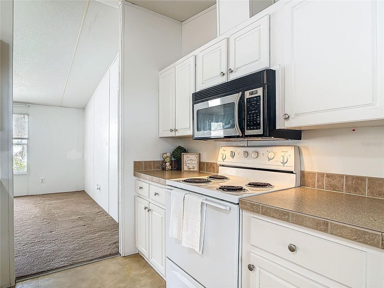 42316 Pond View Lane, Deland, FL 32720 Photo