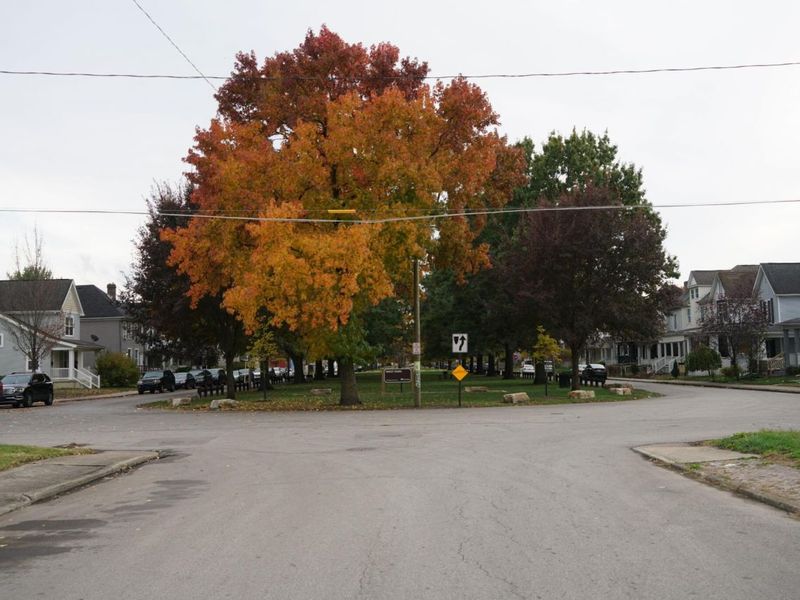 46 W Park Avenue, Columbus, OH 43222 Photo 4