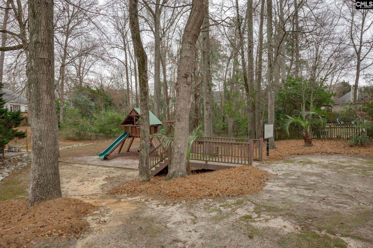 504 Ashdown Park Court Photo 54