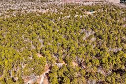 0 Edisto Lake Road photo 4